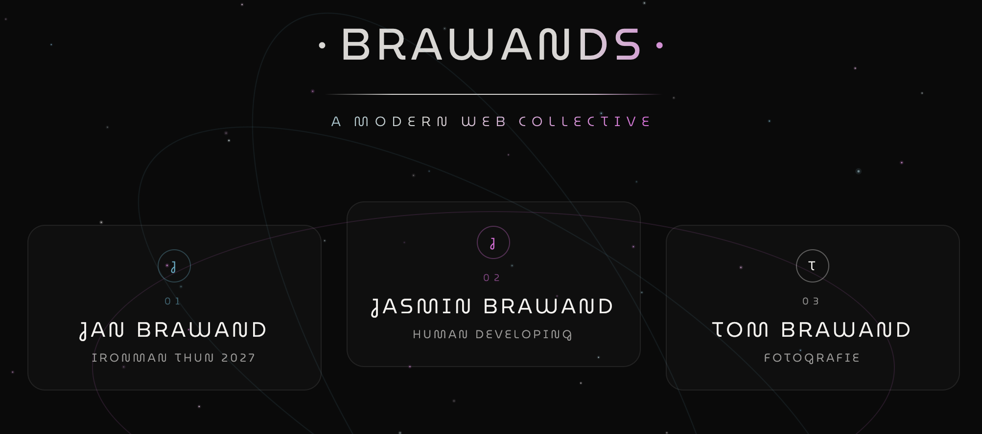 Vorschau der Website BRAWANDS